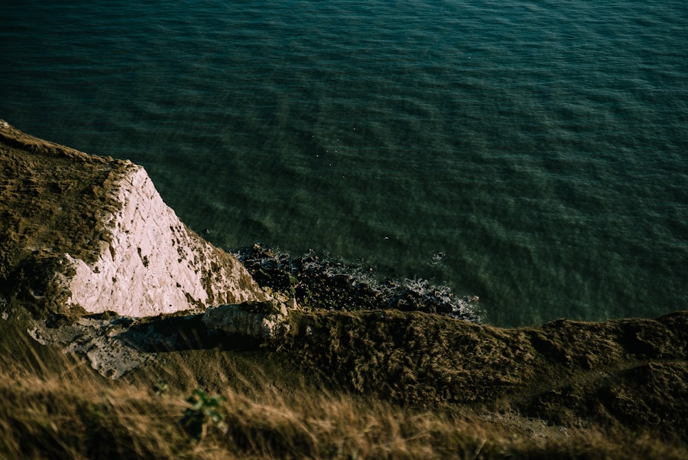 green grass cliff beside green body of water