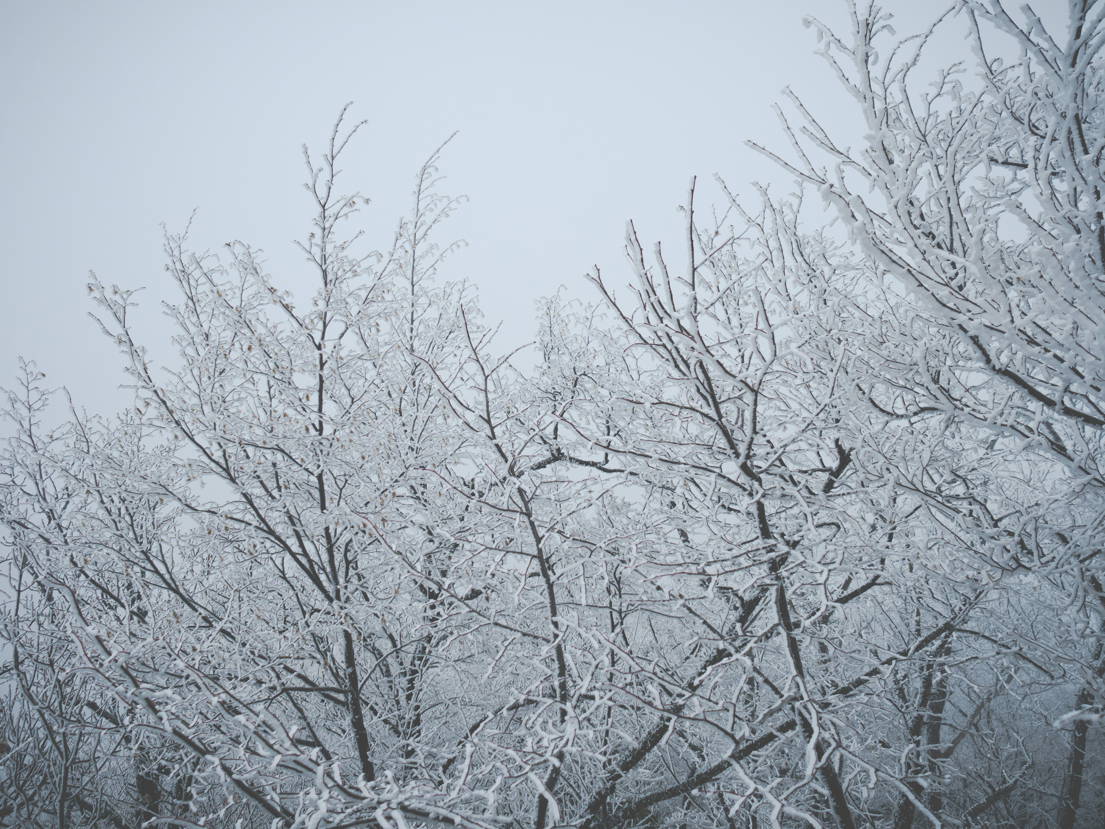 Free Unsplash photo from Ivan Vranić