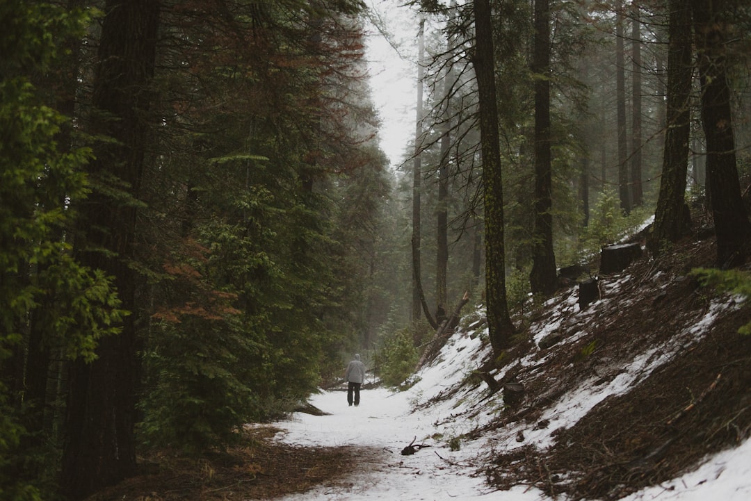 person walking on snow covered pathway