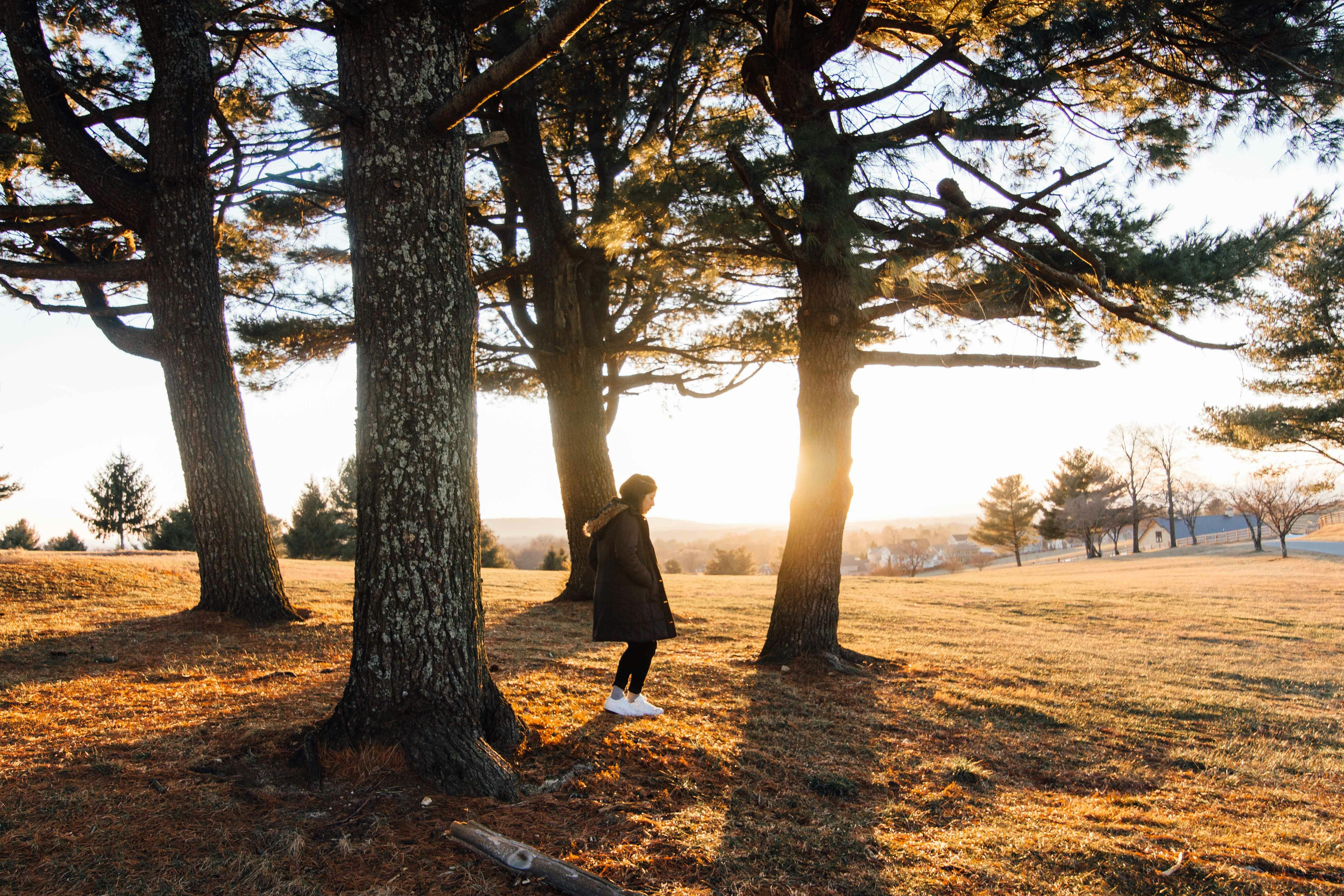 Free Unsplash photo from Austin Scherbarth