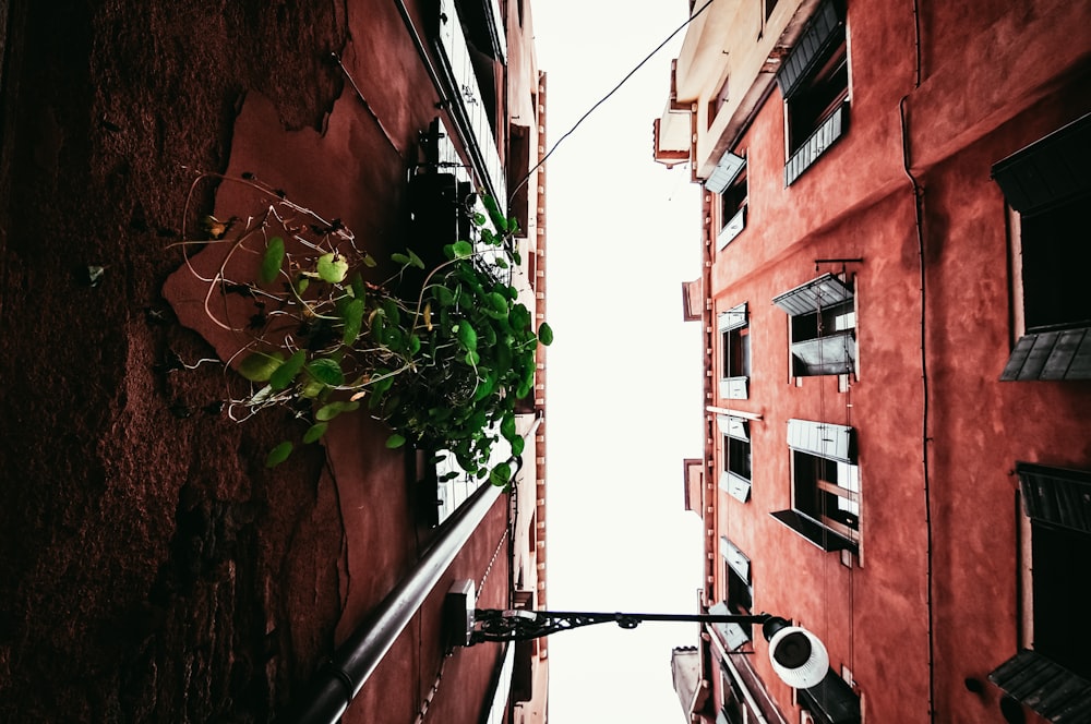 red painted buildings