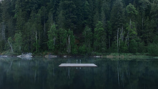 white wooden dock surrounded by water in Revelstoke Canada