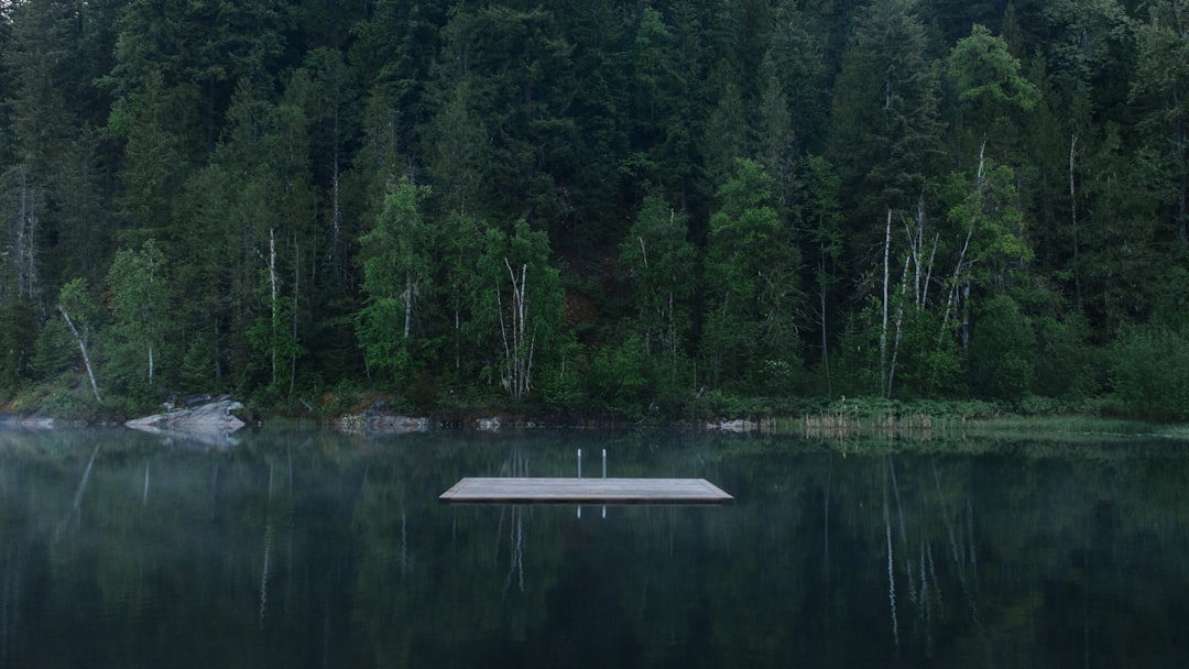 white wooden dock surrounded by water,