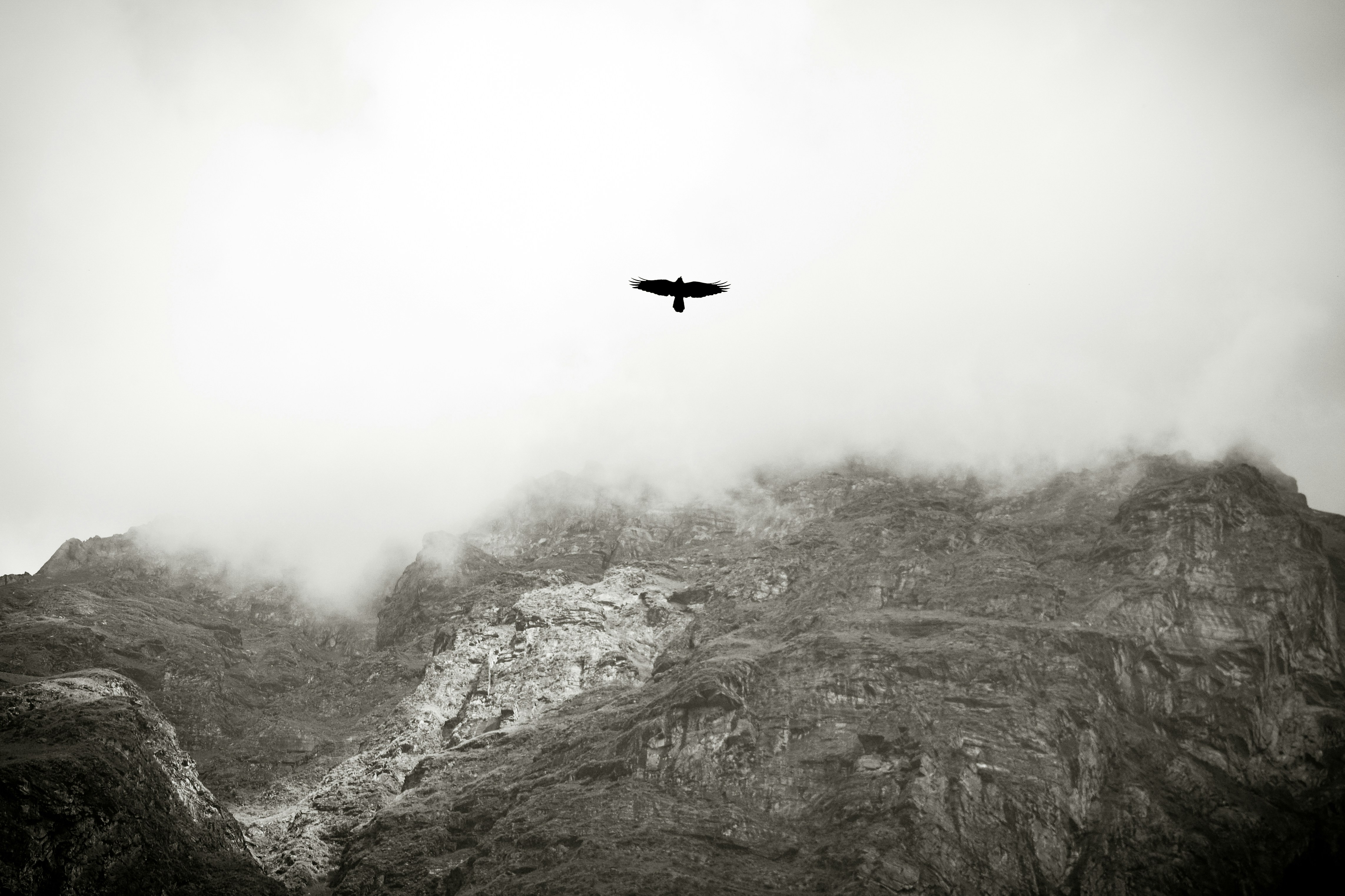 Free Unsplash photo from Aman Bhayana