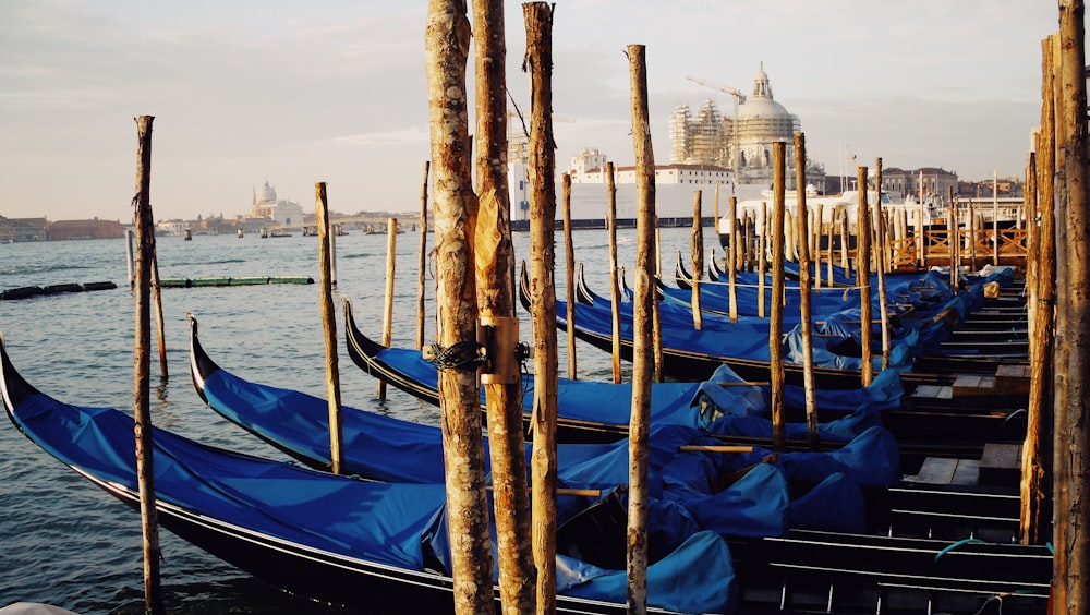 blue boats on water at daytime