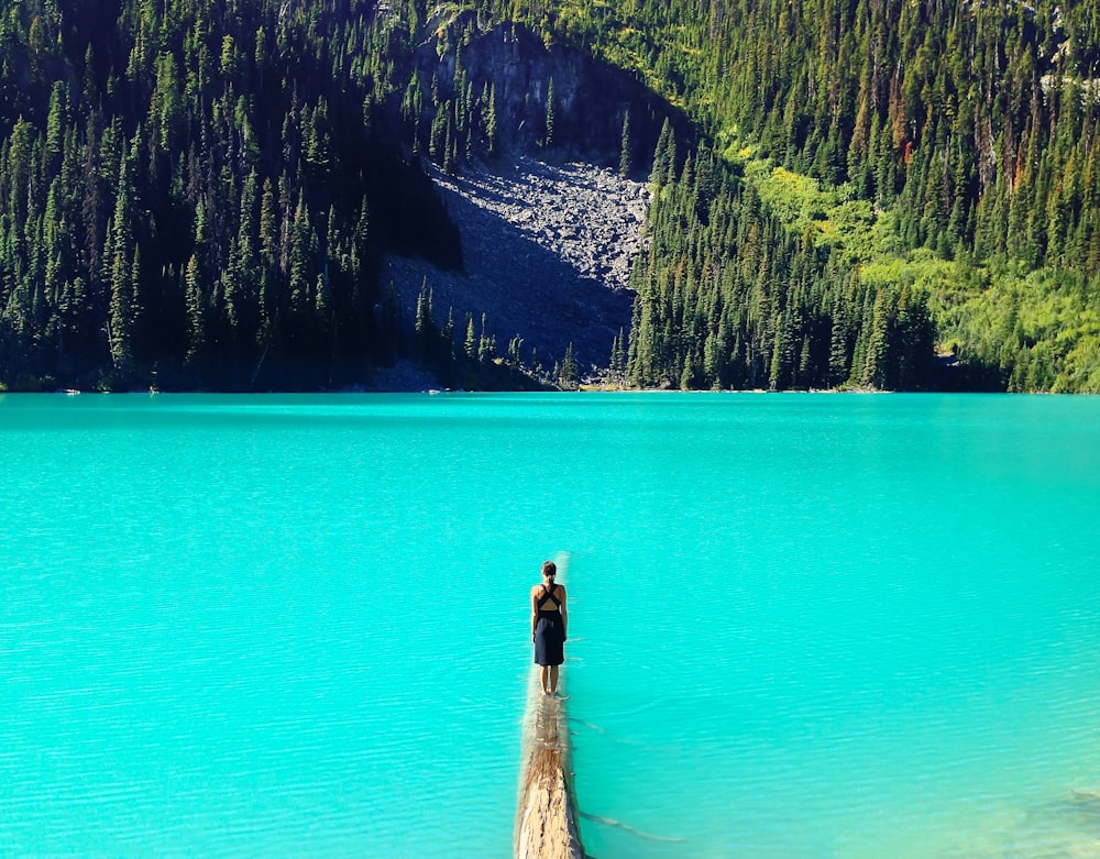 landscape photography of man standing on dock