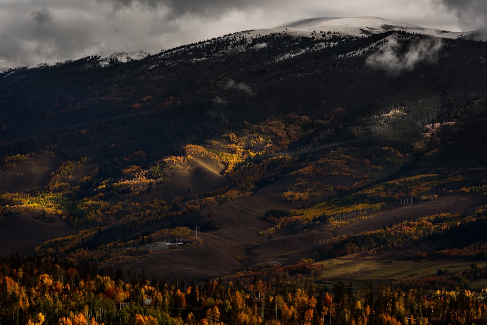 photo of red and green trees near black and white mountain under cloudy sky