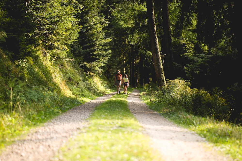 two person walking on pathway in between trees at daytime