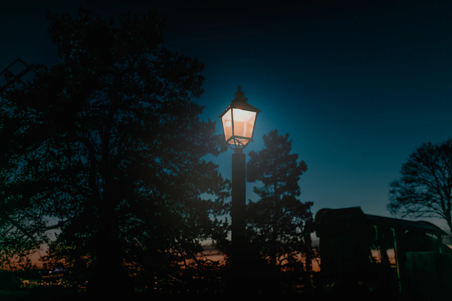 Landscape Lighting Design in Bethesda, MD