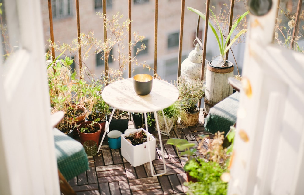 Garten auf Terrasse tagsüber