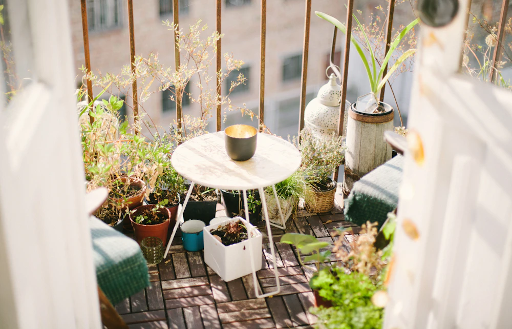 Small terrace garden with potted plants, a round table and green climbing plants