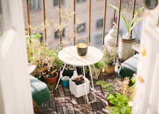 garden on terrace during daytime