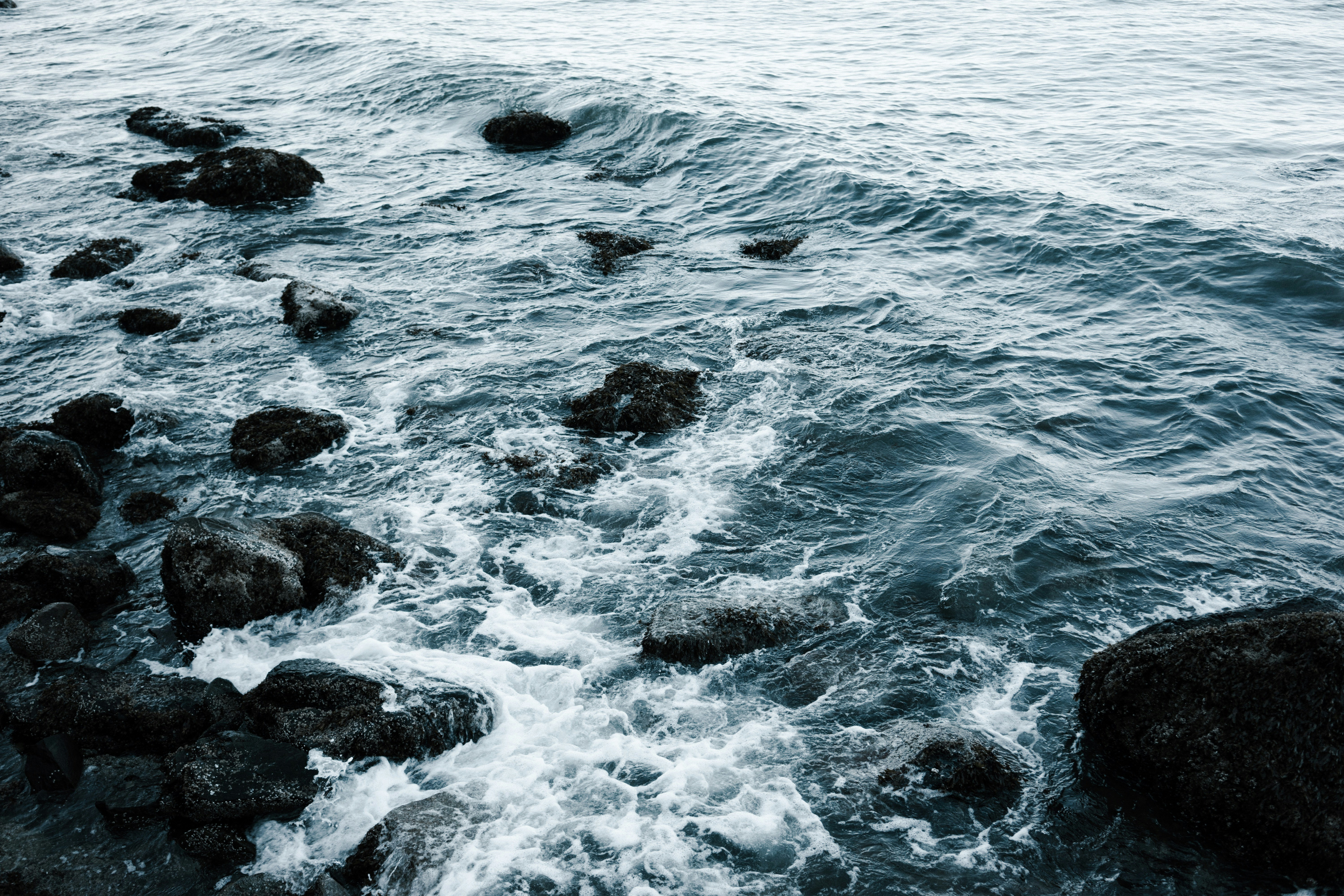 Free Unsplash photo from Mitchell Hollander