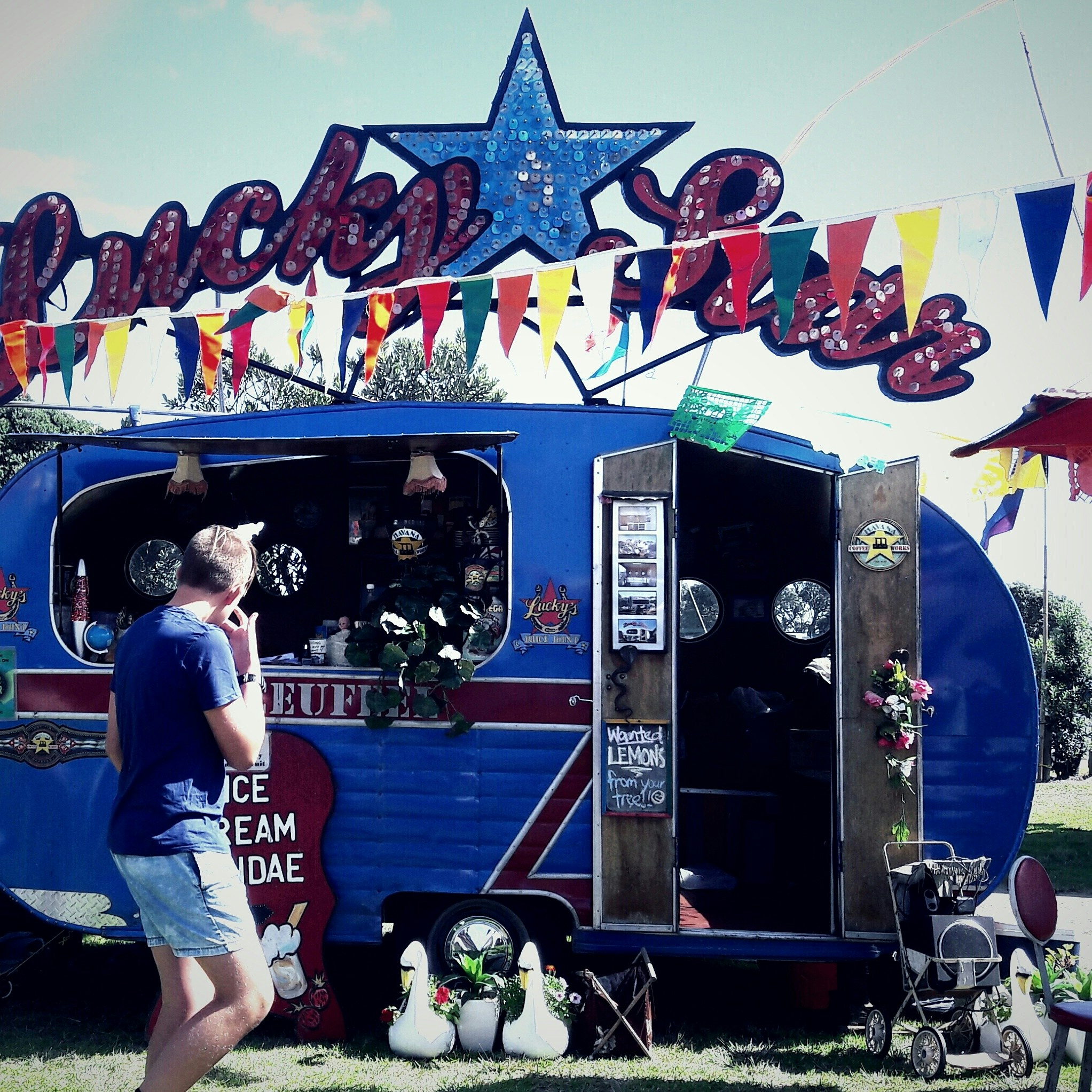 Free Unsplash photo from Maureen Bremner