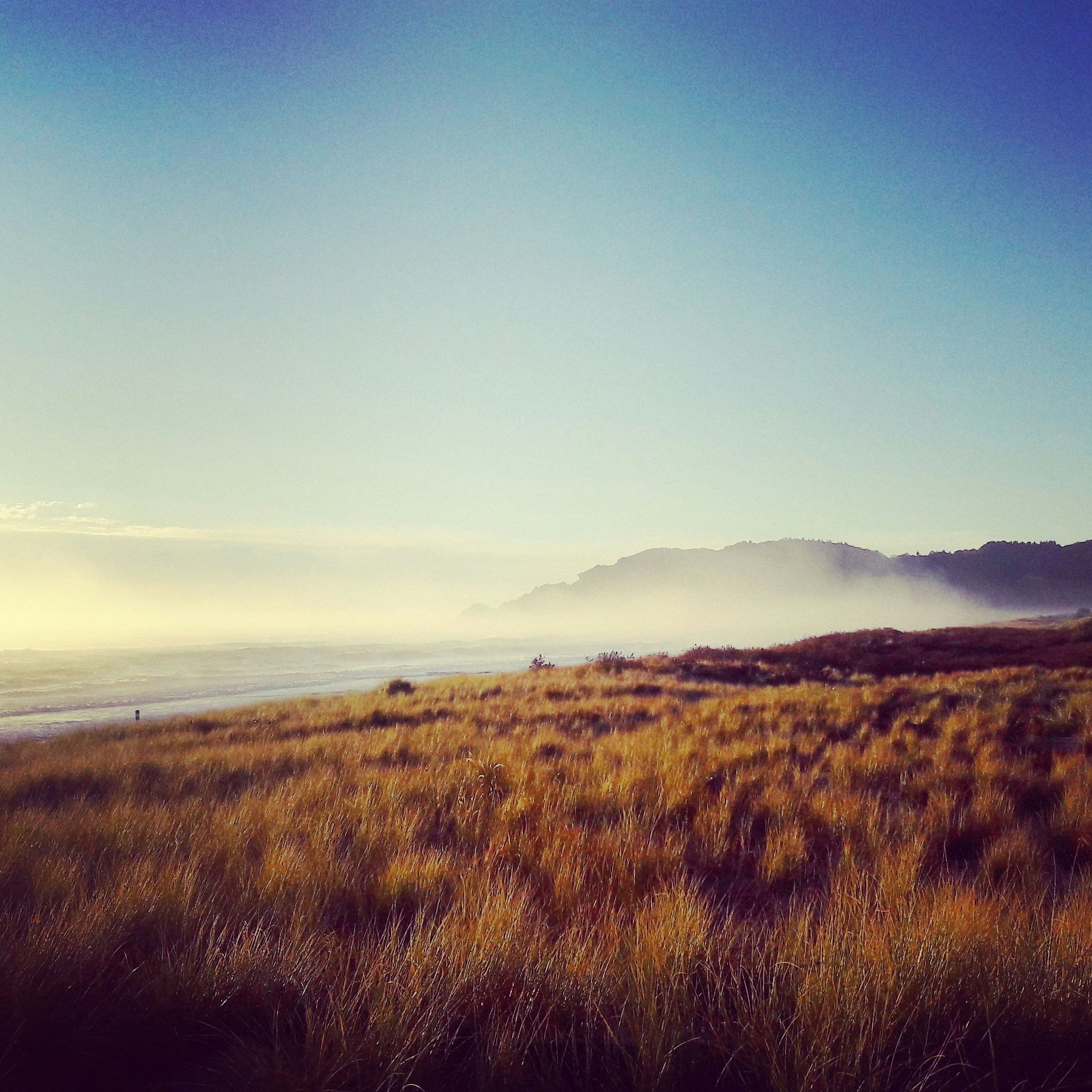 Free Unsplash photo from Maureen Bremner