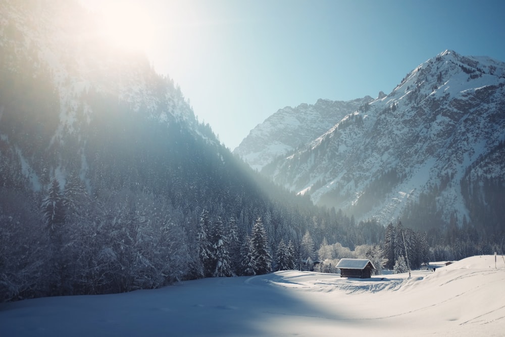 Winter Wallpapers: Free HD Download [500+ HQ] | Unsplash