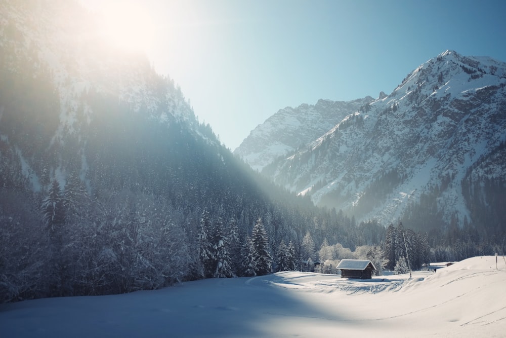 verschneiter Berg umgeben von Bäumen