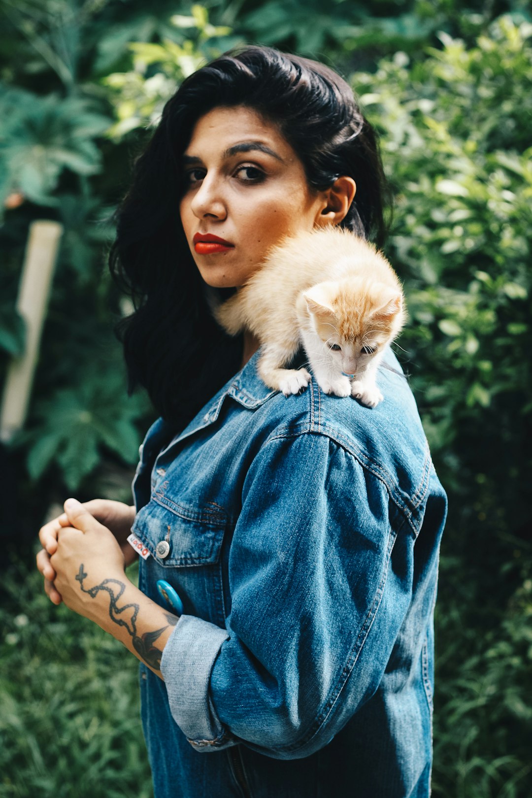 orange kitten on woman's shoulder during daytime
