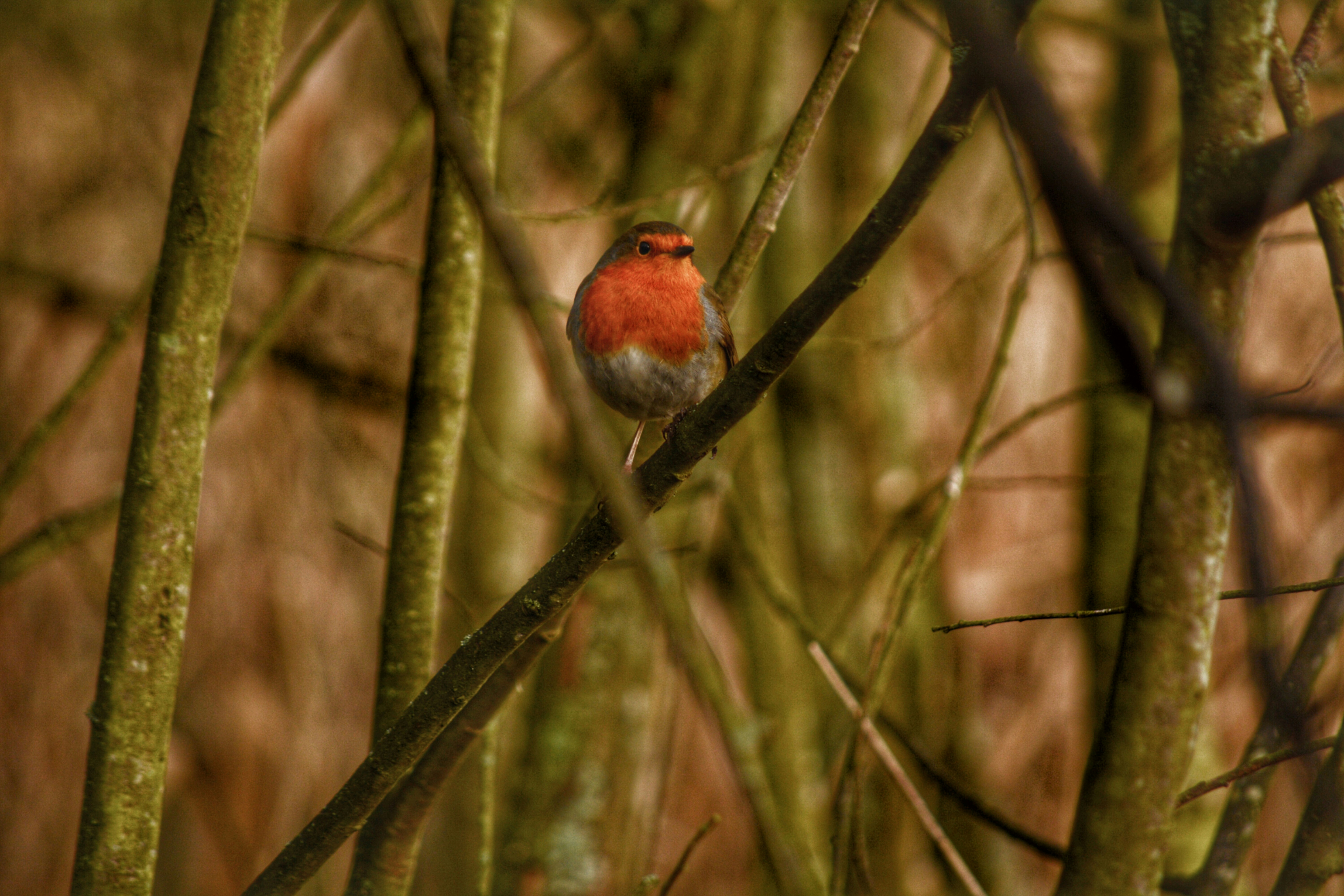 Free Unsplash photo from Jack Taylor