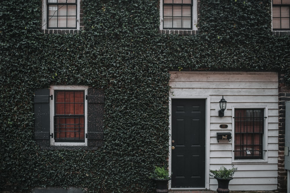 photo of house with green leafed covered wall