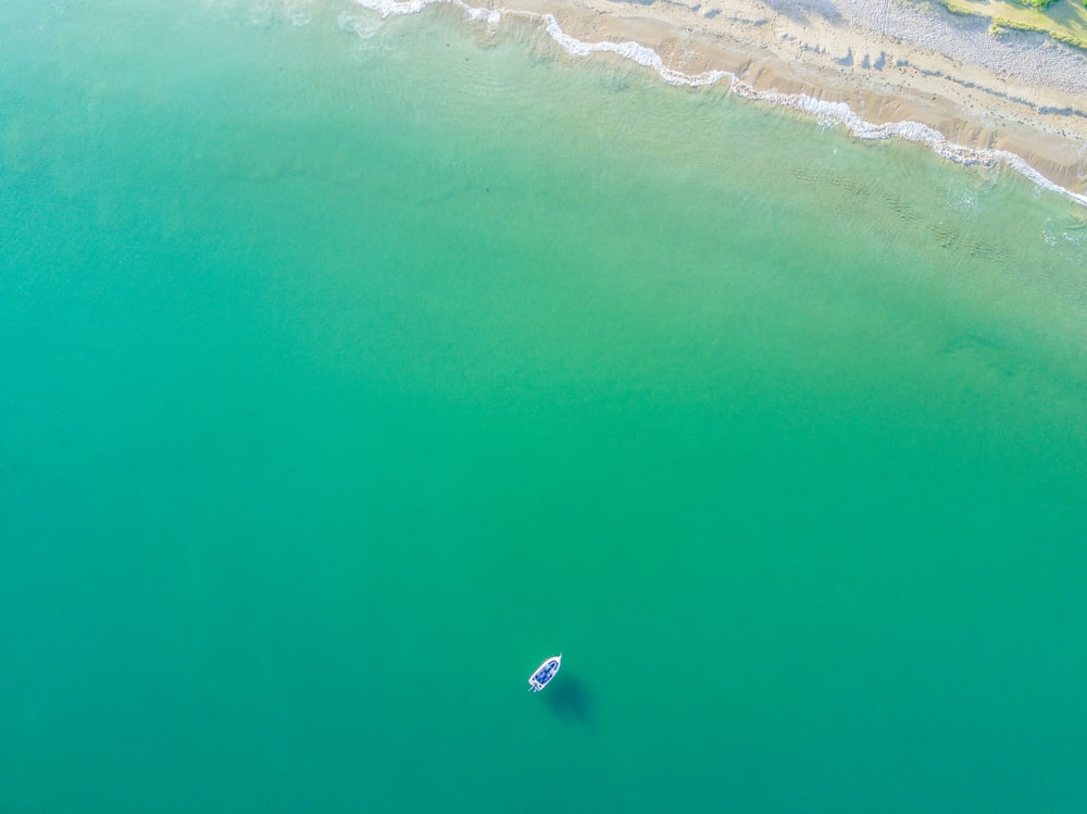 Luftaufnahme eines weißen Bootes auf dem grünen Ozean in der Nähe der Küste
