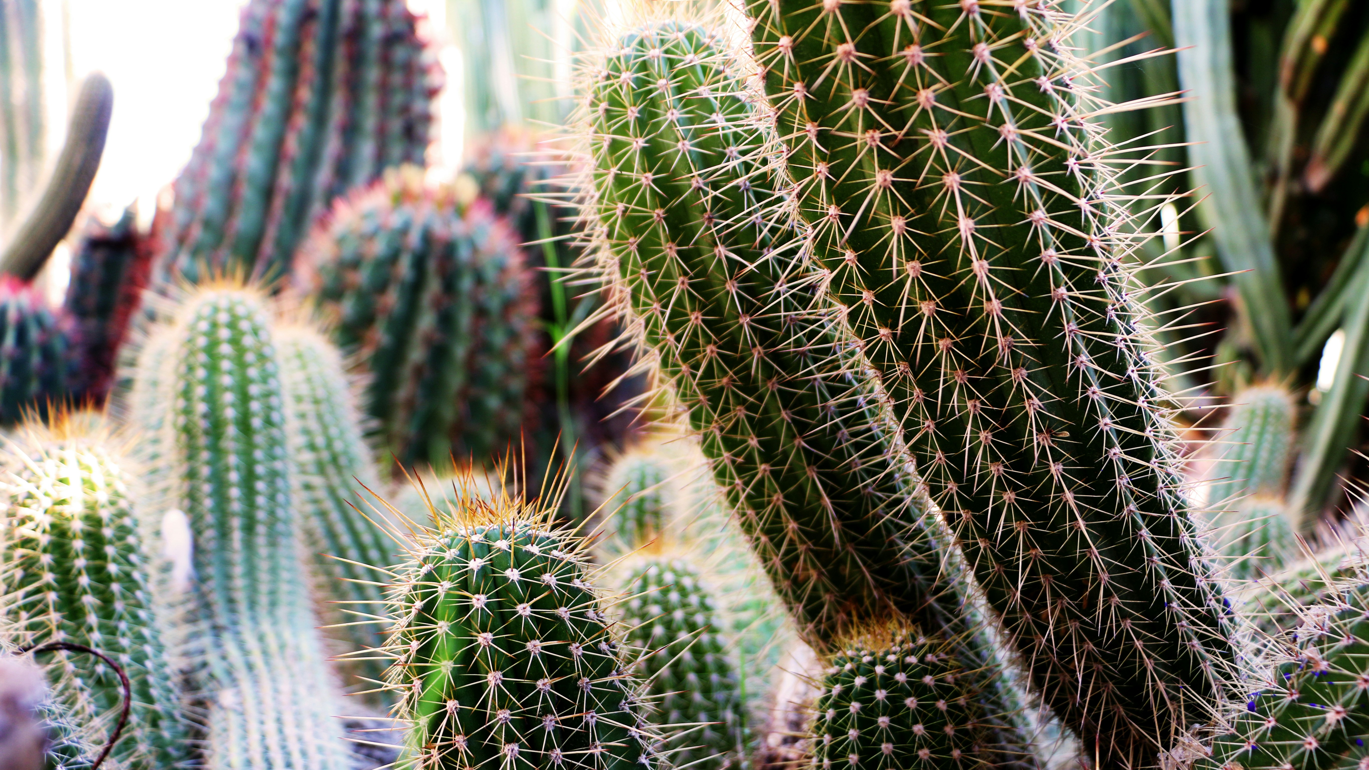 Free Unsplash photo from X Zhao