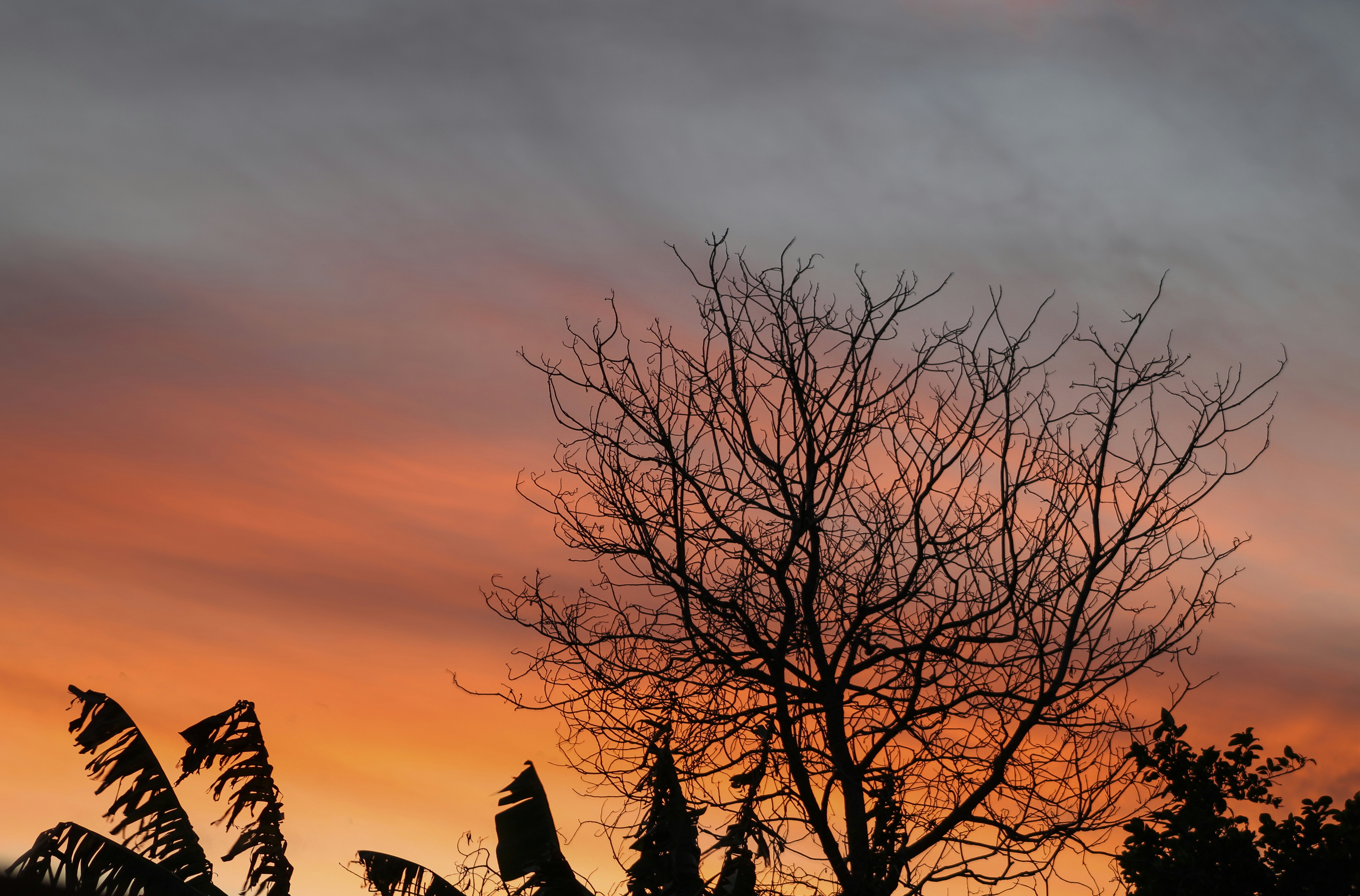 Free Unsplash photo from Carlos Rejon