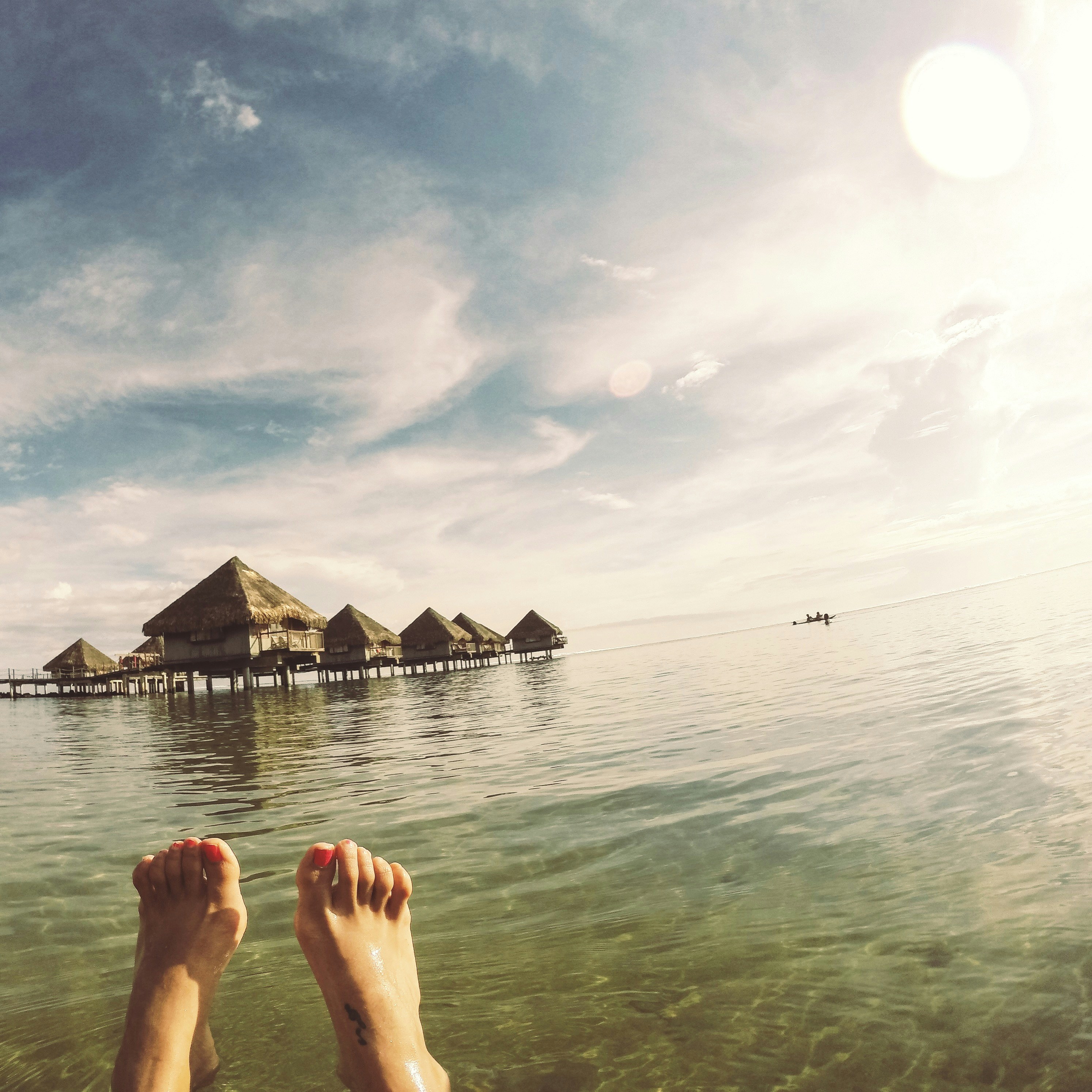 Free Unsplash photo from Nydia Parra