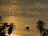 A serene boat drifting along lush mangroves bathed in golden sunset light.