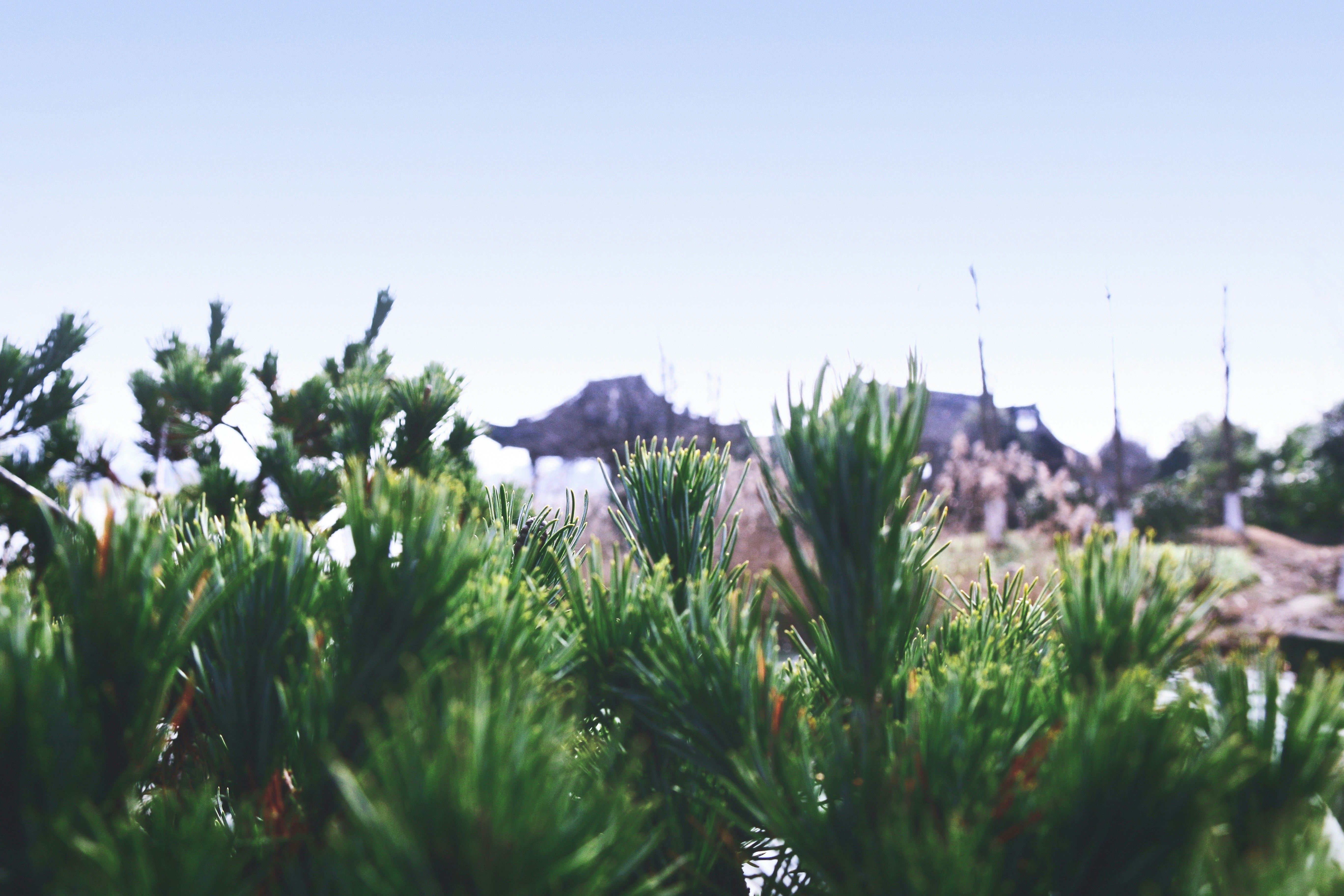 Free Unsplash photo from ChengQi Sun