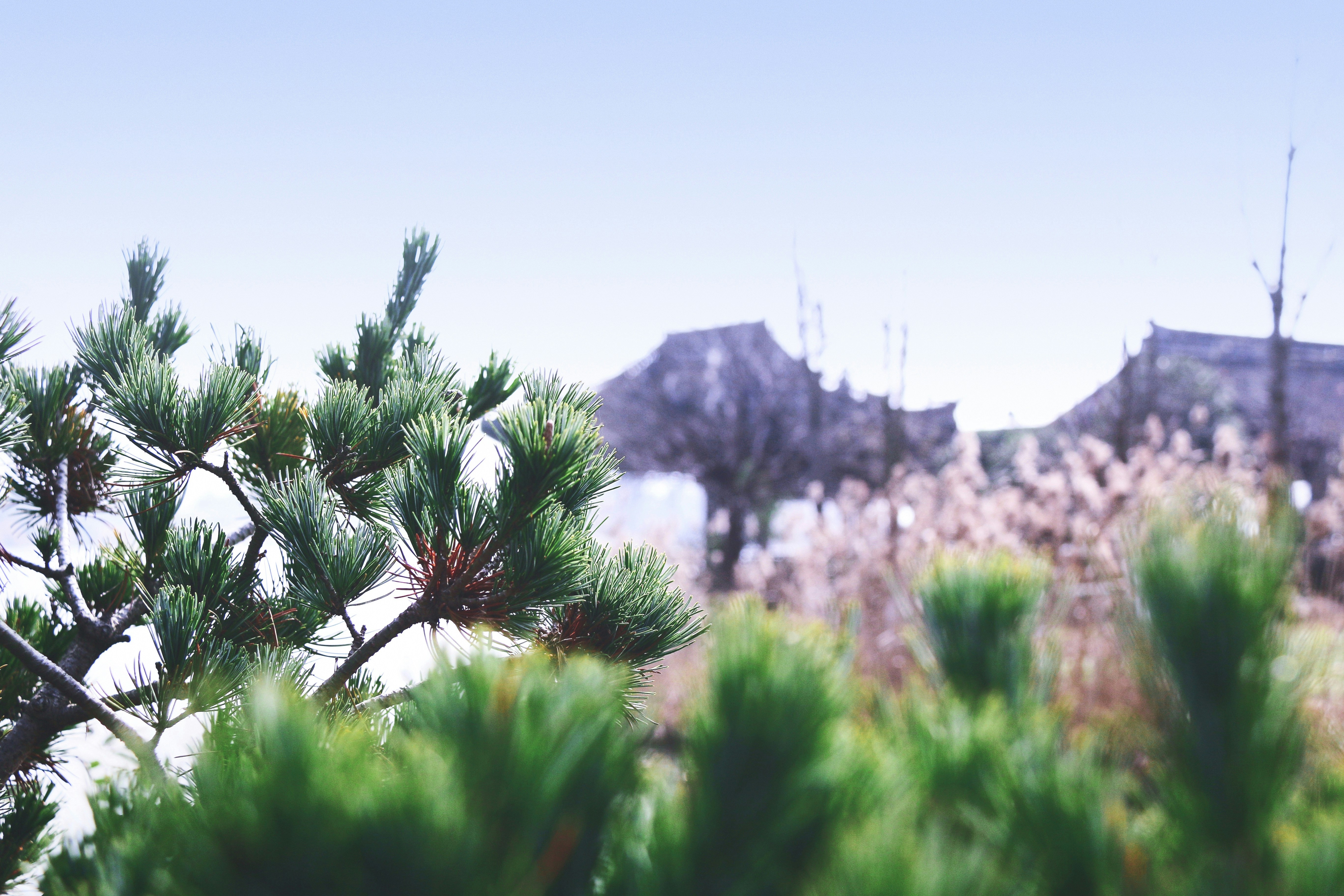 Free Unsplash photo from ChengQi Sun