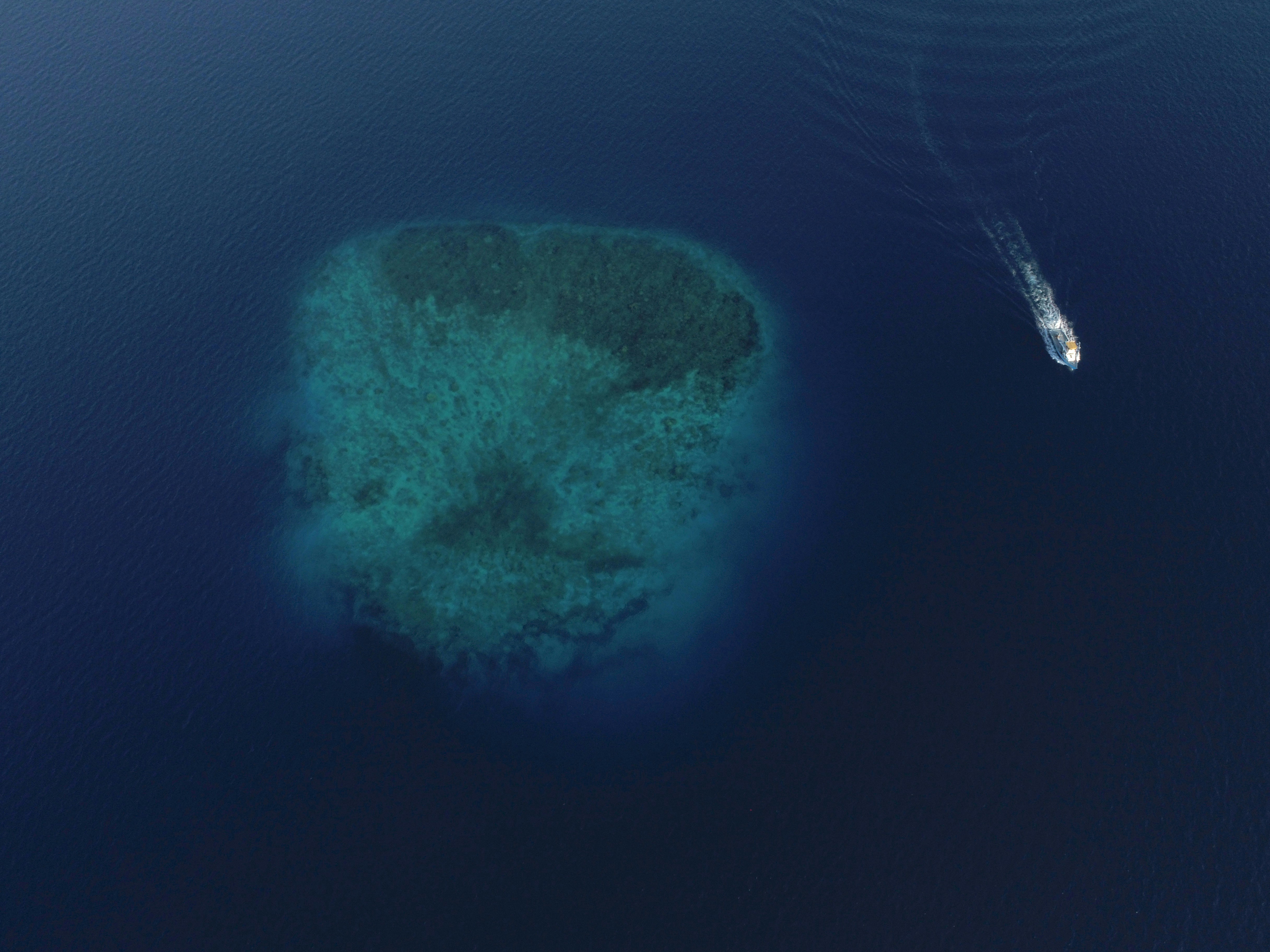 Speedboat transfers in Maldives