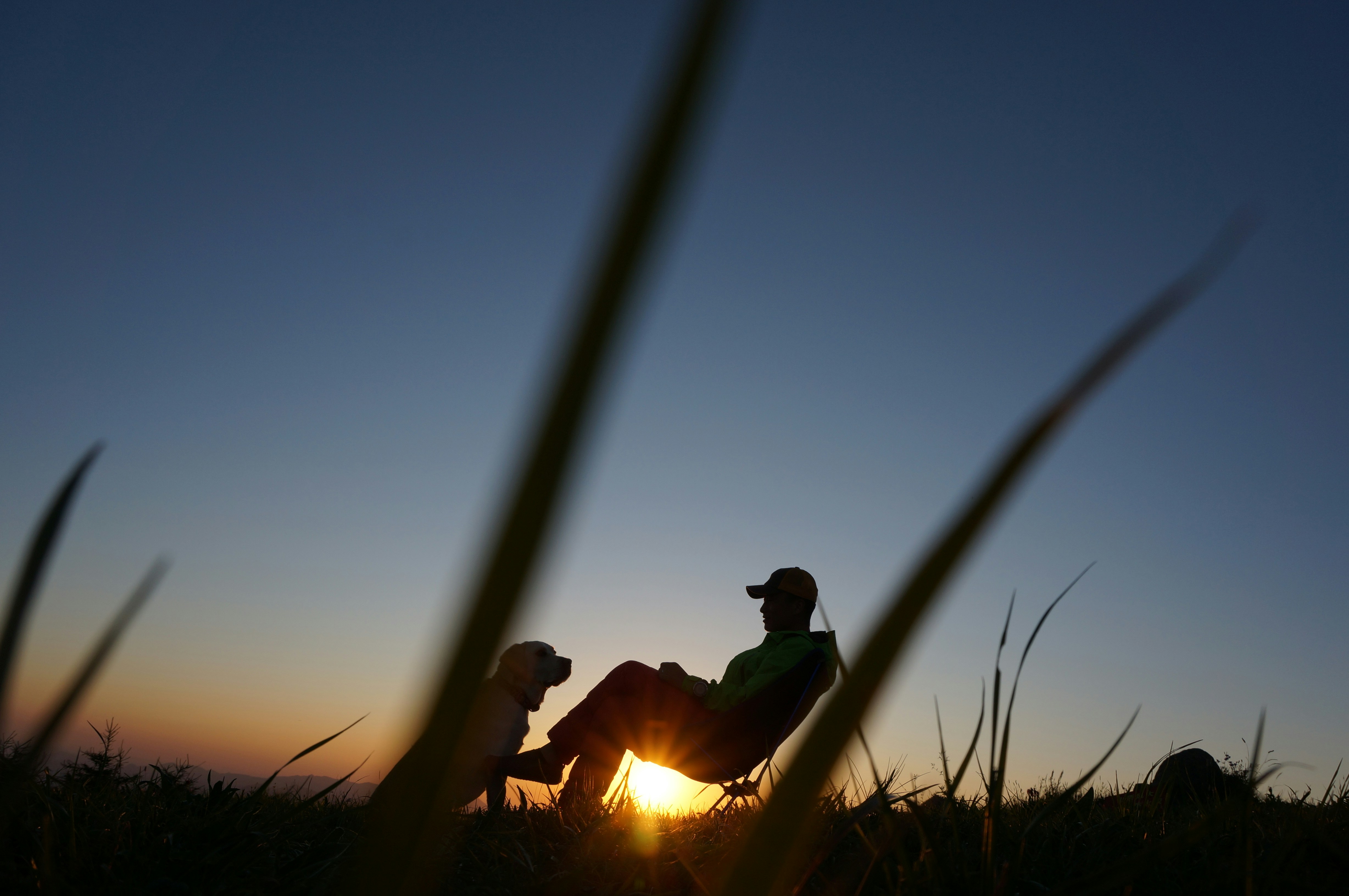 Free Unsplash photo from Tao Liu