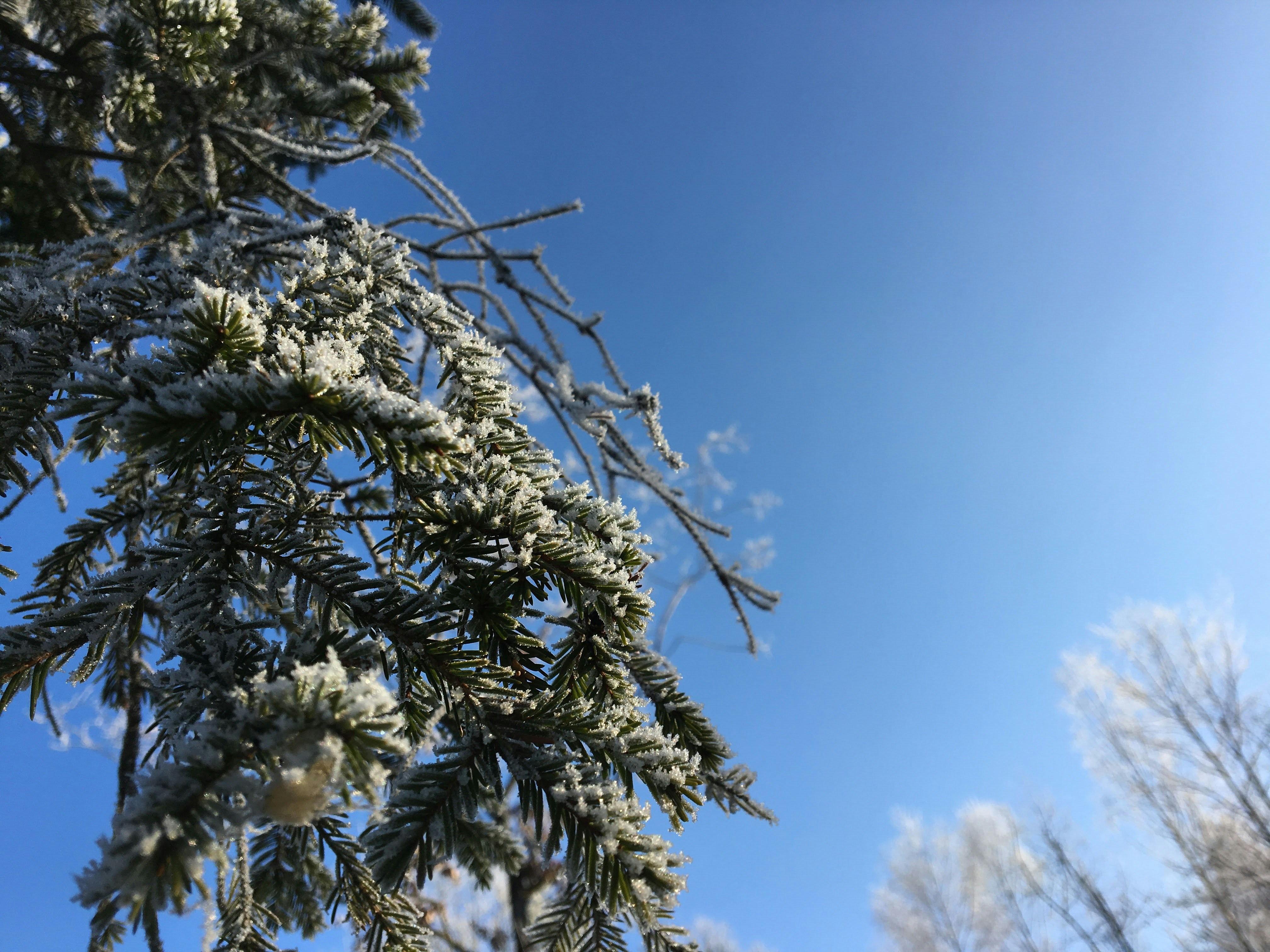 Free Unsplash photo from Zlatko Đurić