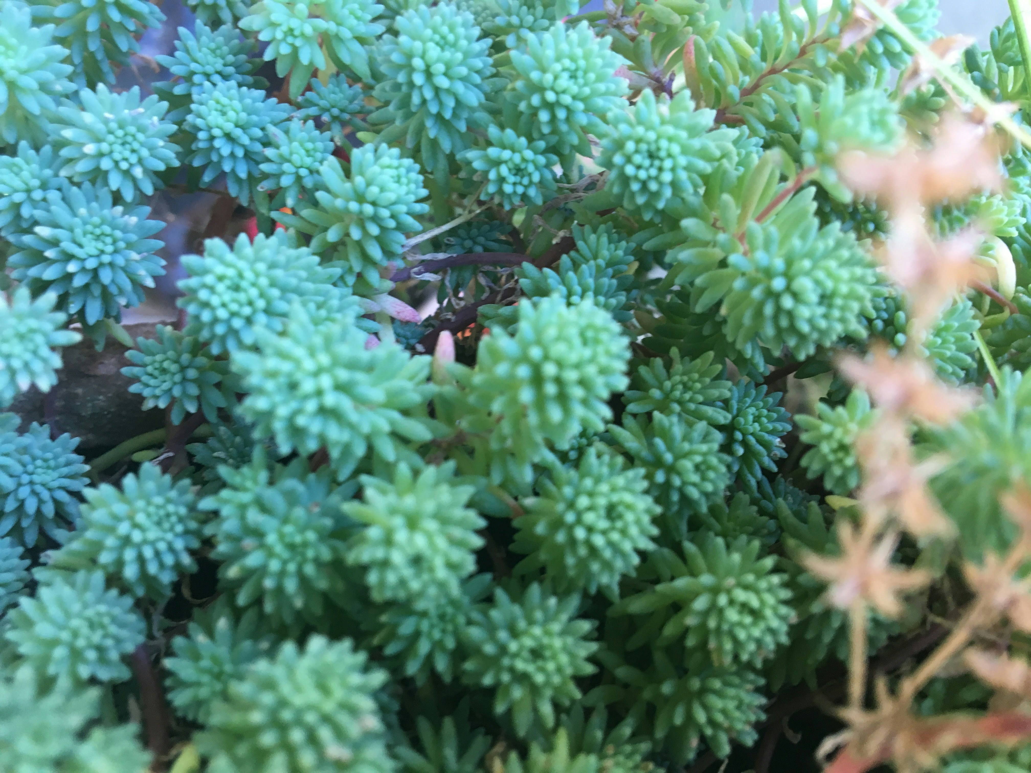 Free Unsplash photo from Zlatko Đurić