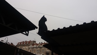 A vibrant comic panel featuring a cat hero in mid-leap against a cityscape at dusk.