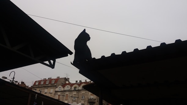 A vibrant comic panel featuring a cat hero in mid-leap against a cityscape at dusk.