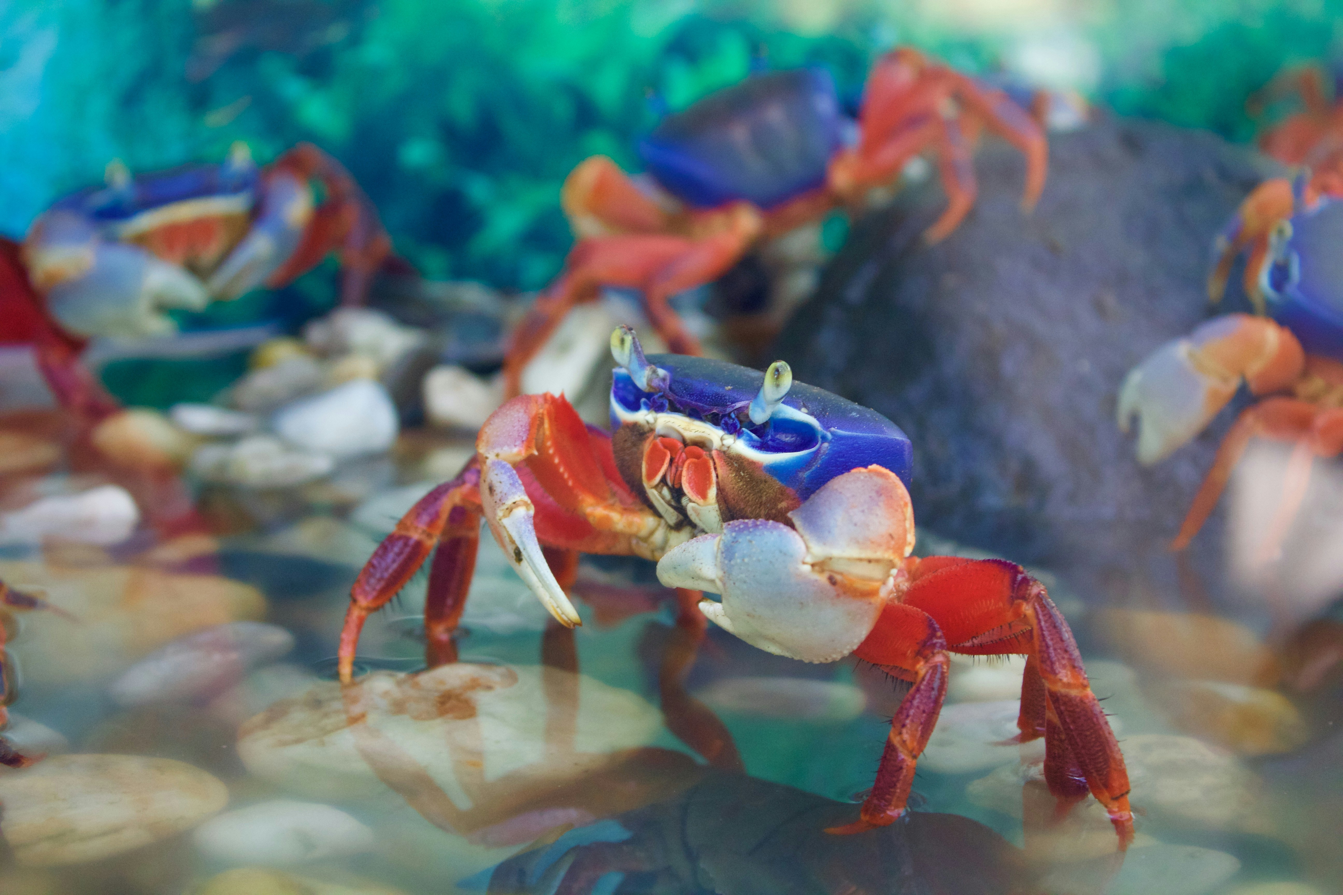 Free Unsplash photo from H. K.