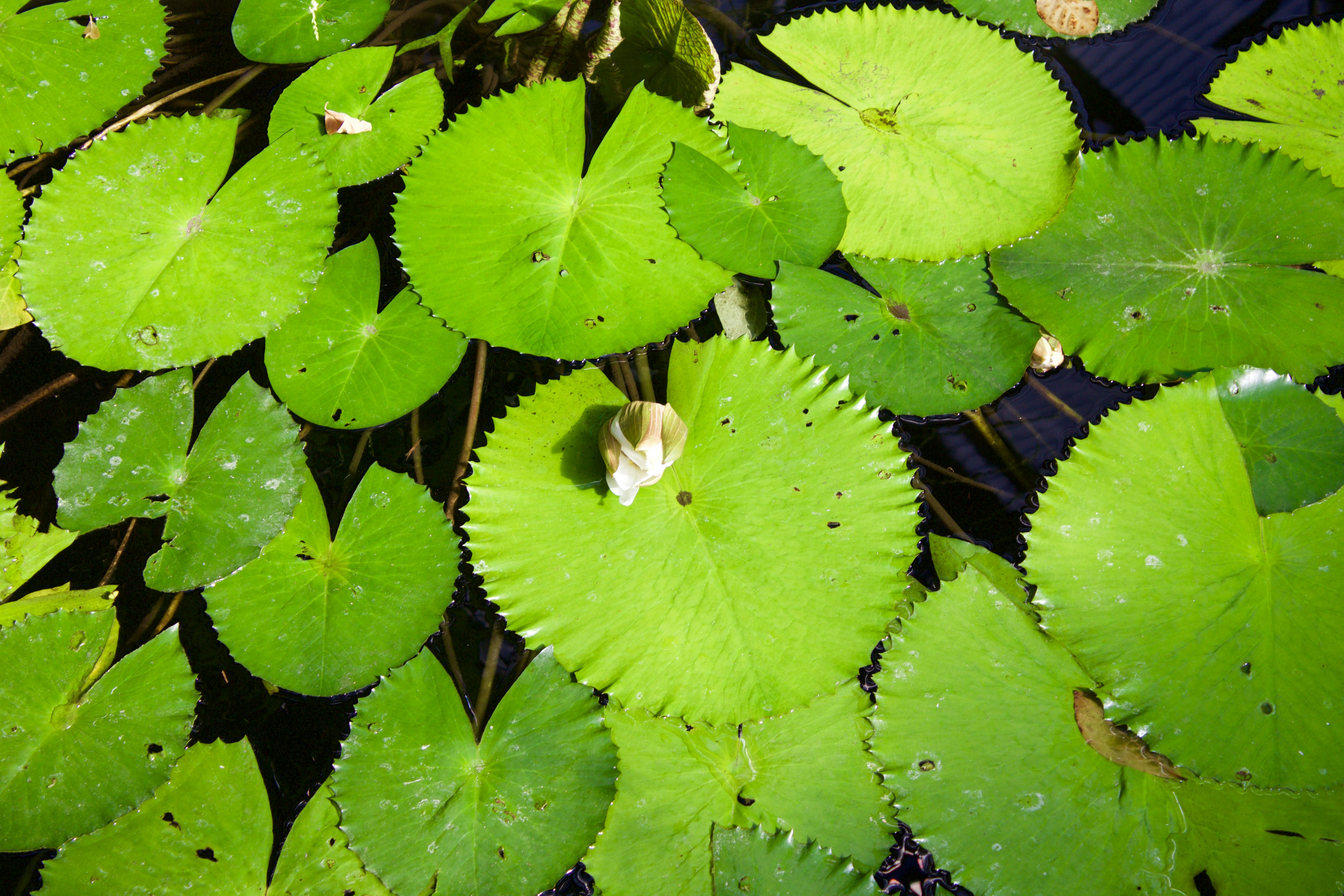 Free Unsplash photo from H. K.