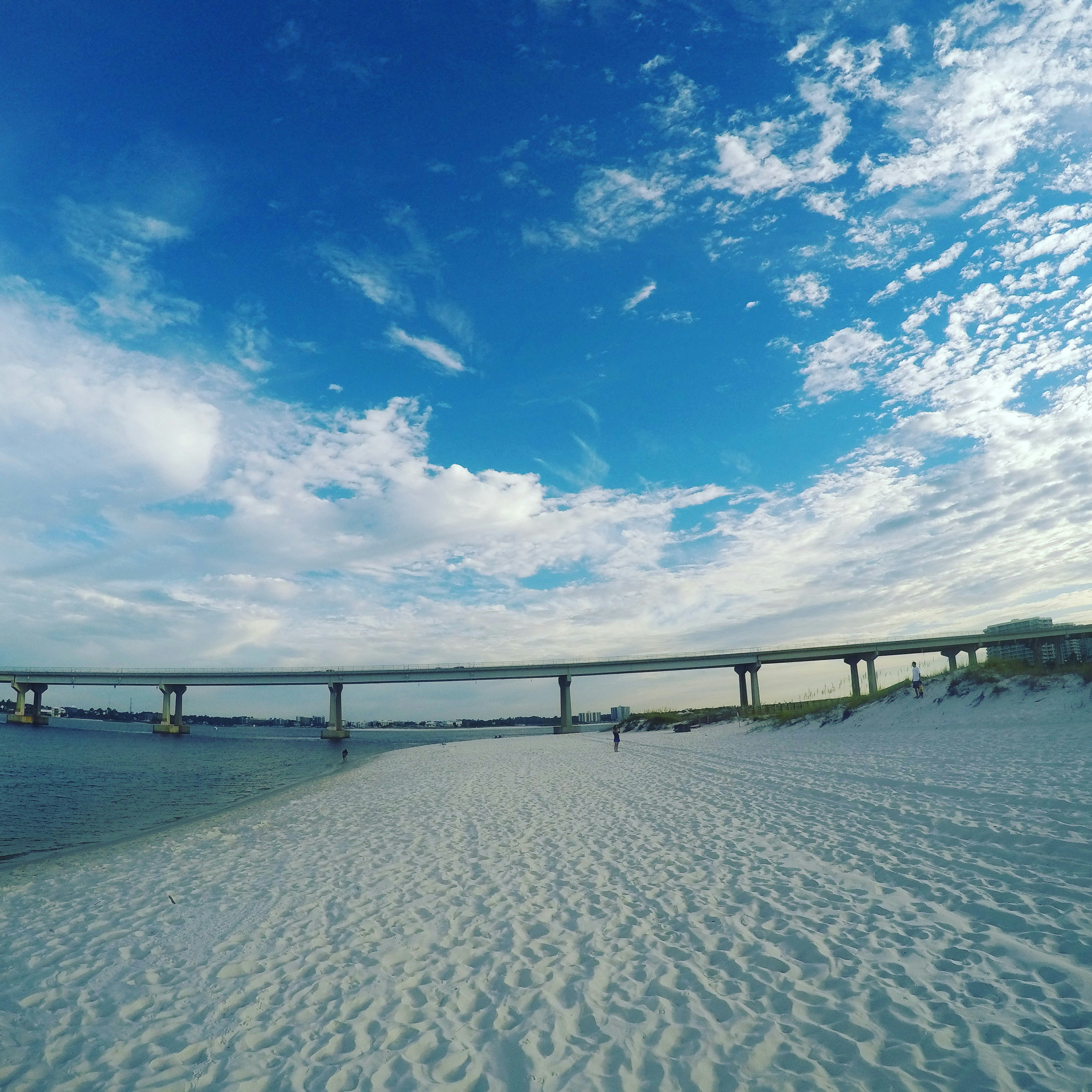 Free Unsplash photo from Cindy Ross