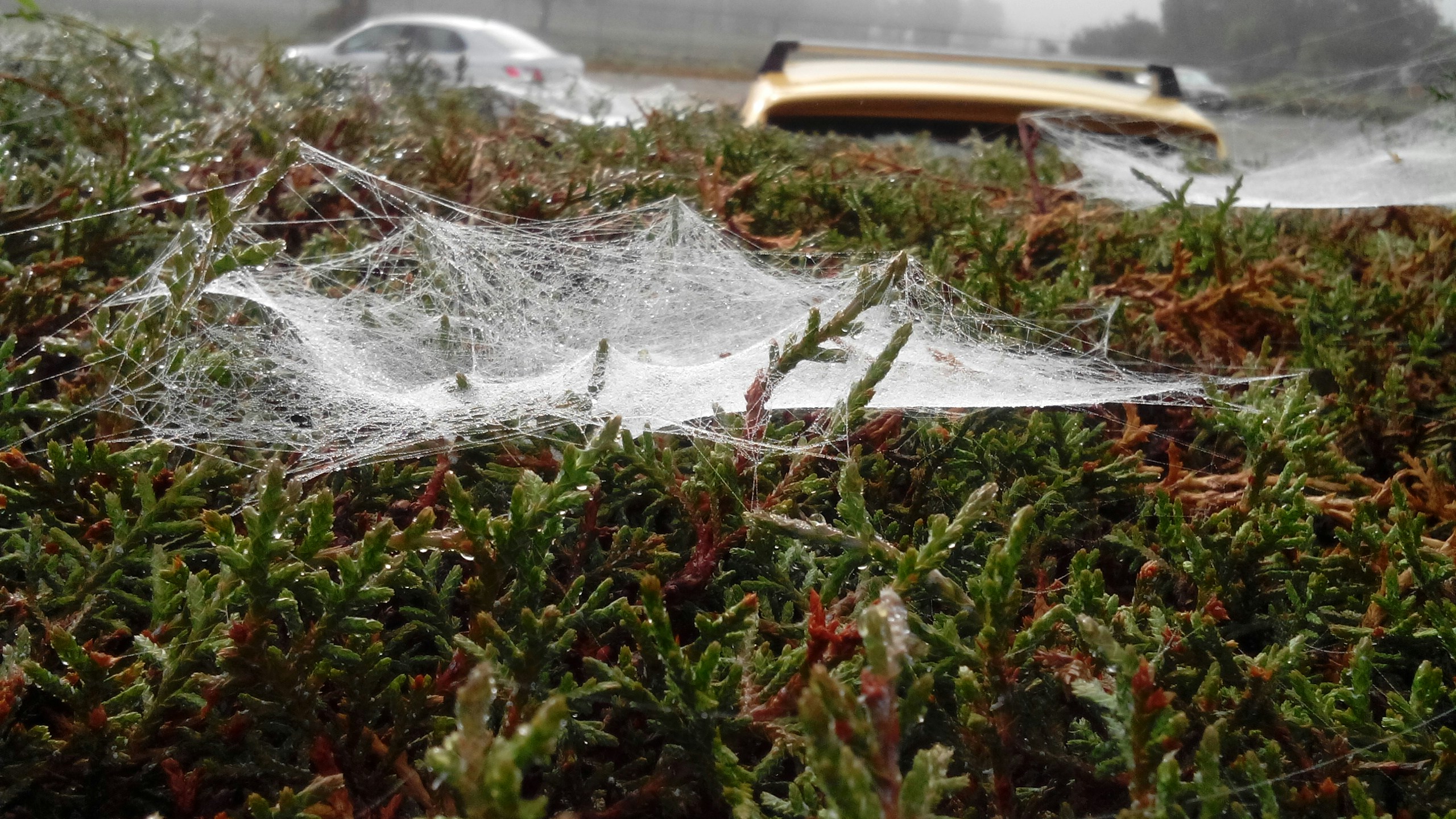 Free Unsplash photo from Gabino Override