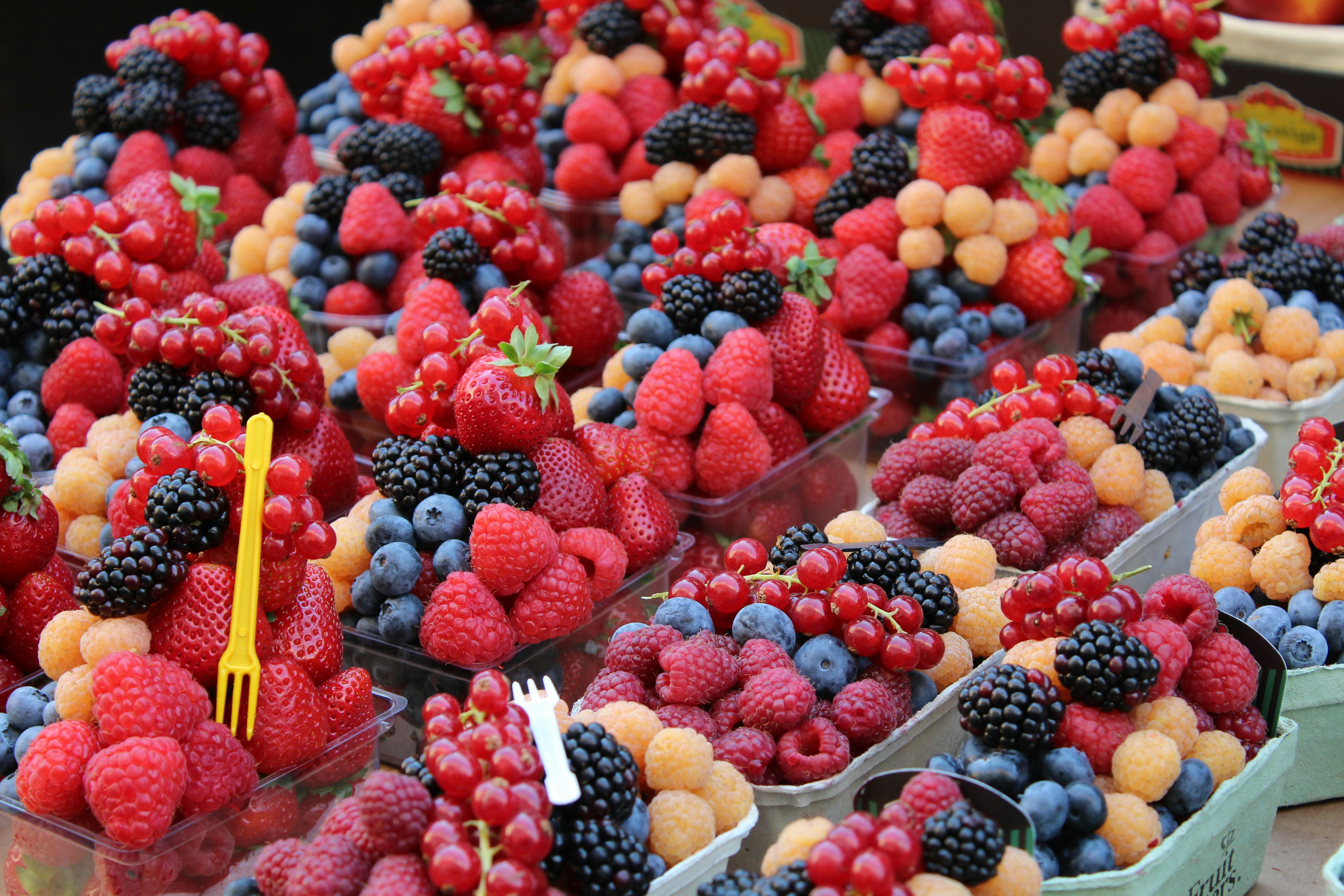 Free Unsplash photo from H. K.