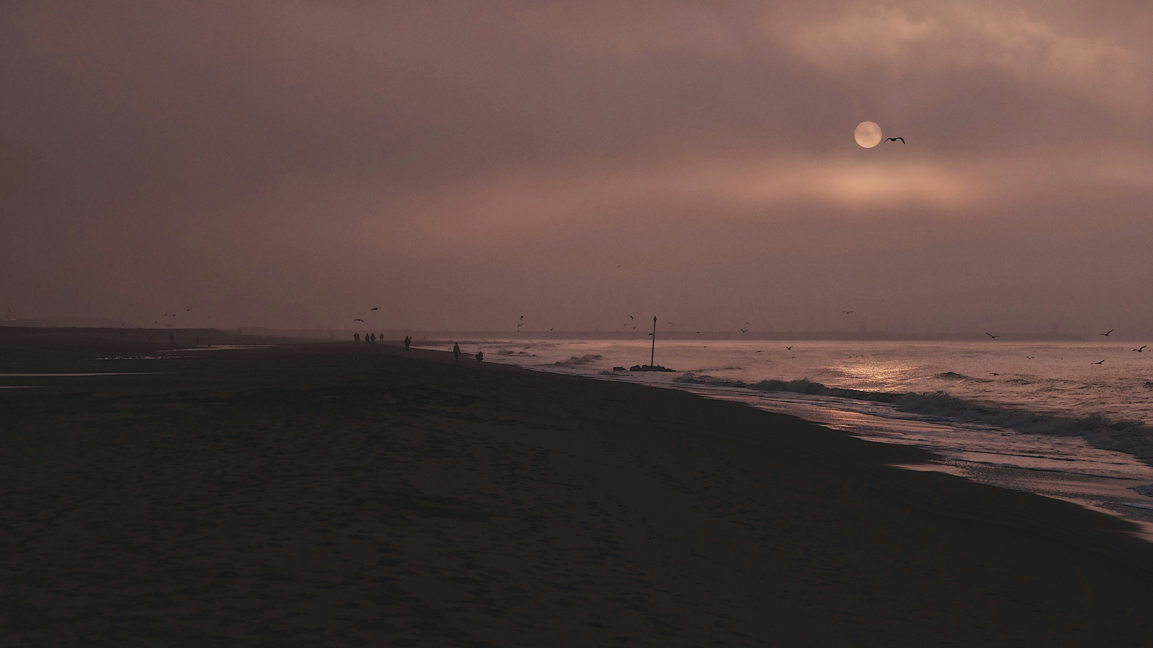 Free Unsplash photo from Dahee Son