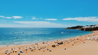people near seashore during daytime