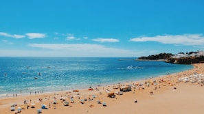 people near seashore during daytime