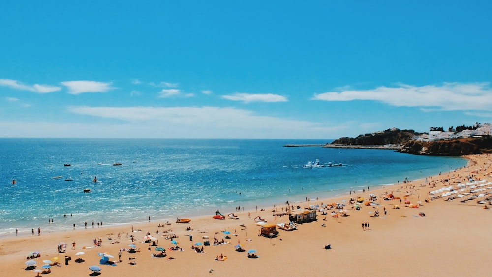 Personas cerca de la orilla del mar durante el día