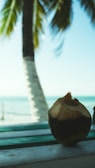 A fresh coconut with the top sliced open sits on a wooden table, with the backdrop of a serene ocean view and a palm tree. The scene suggests a tropical setting with a relaxed atmosphere.