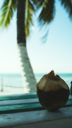 A fresh coconut with the top sliced open sits on a wooden table, with the backdrop of a serene ocean view and a palm tree. The scene suggests a tropical setting with a relaxed atmosphere.