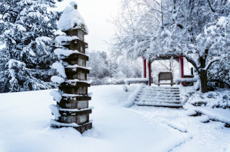 A serene winter garden symbolizing growth and stability.
