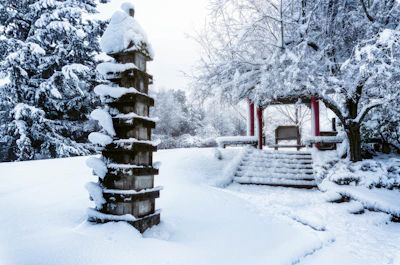 Snow-covered Japanese garden